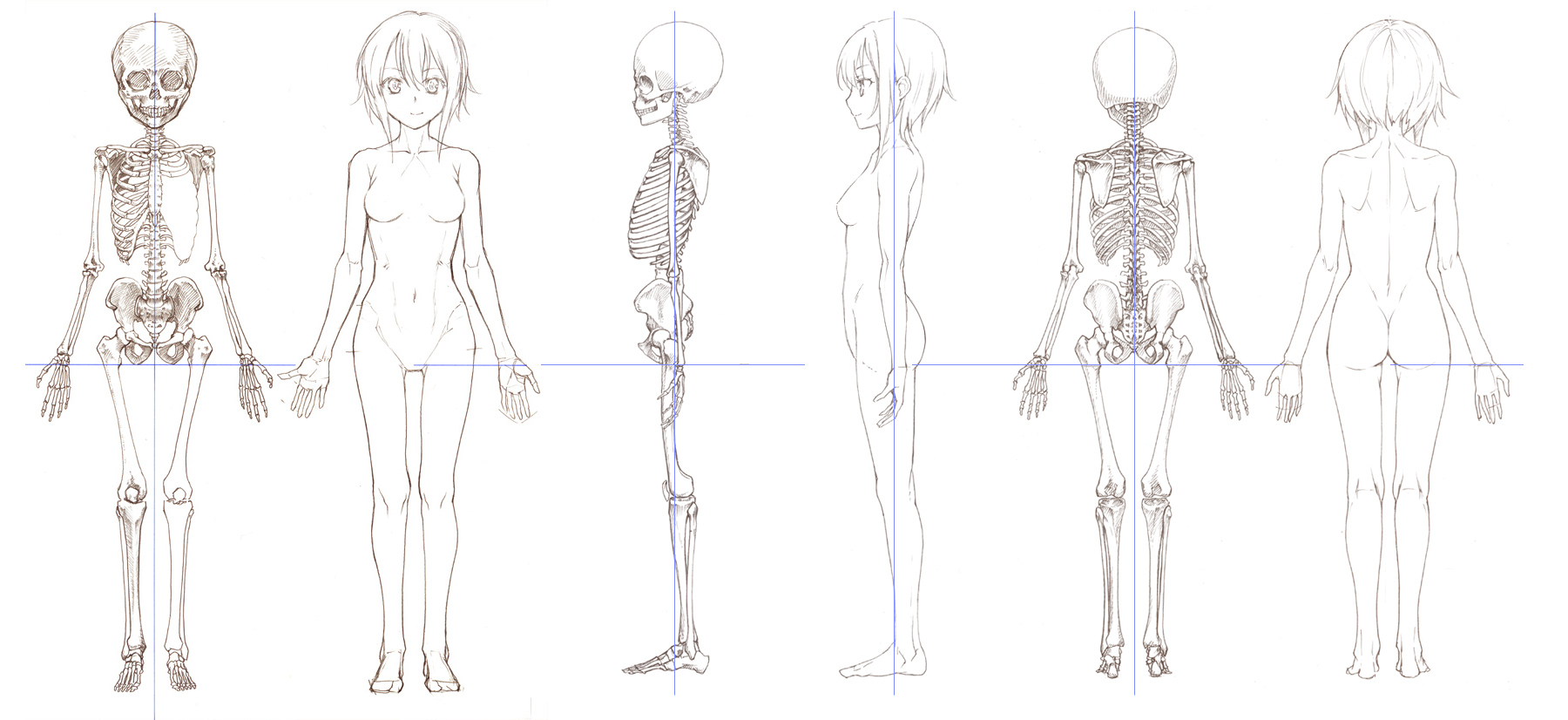 Анатомия аниме тела девушки