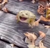 1484