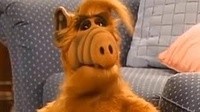 74