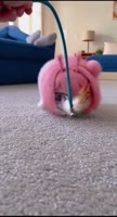 1486