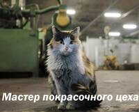 257