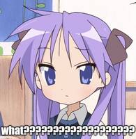 41