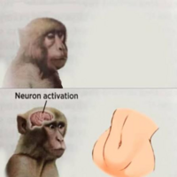 151