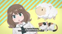 223