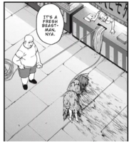 291