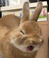 658
