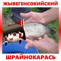 116