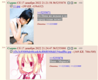 293