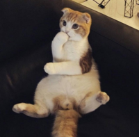 525