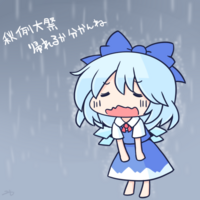 206
