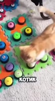 3937