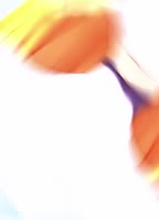 3223